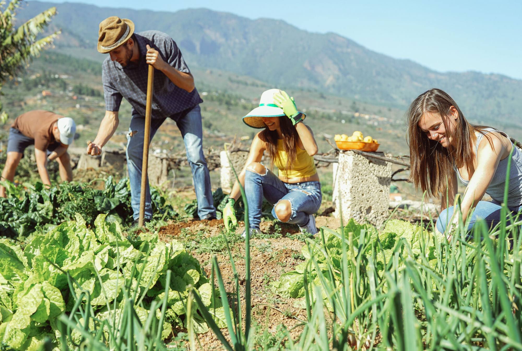 Agricoltura di montagna, palestra di inclusione